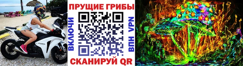 Псилоцибиновые грибы Cubensis  Харовск 